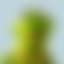 Blurry Kermit