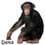 Denis