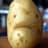 demented potato