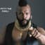 Mr T