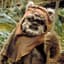 Da_real_ewok
