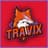 TraviX