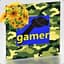 gamer