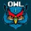 🦉Owl🦉