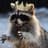 RaccoonKing