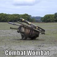 phx*.CombatWombat