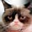 GrumpyKatt