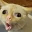Ket