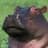 Hippo