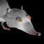 The Giant Rat
