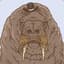 Walrus_Lord