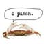 Pinch