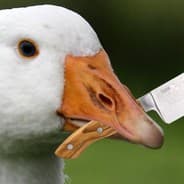 Hjonk