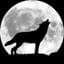 ShadowFox93