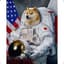 Doge