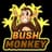 BushMonkey