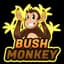BushMonkey