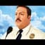 Paul Blart Mall Cop