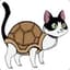 PussyTurtle