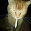 Drix