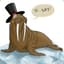 PacksOfWalrus