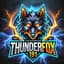 thunderfox91
