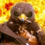 Spy Hawk