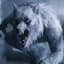 Werewolf40K