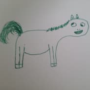 Pony
