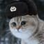 soviet_cat._.