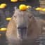peanutbuttercapybara