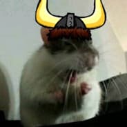 Czuczo