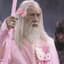 Gandalf The Gay