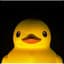 Rubber Ducky