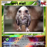 (WOC)Otus