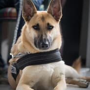 Mali