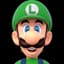 TheGamerLuigi222