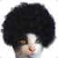 afrocat27