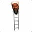 Osama Bin Ladder