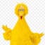 BIG BIRD