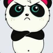 (WTH) Dark Panda
