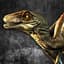 Raptor