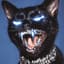 katze