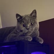 Axel'ova