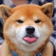 Foxhound