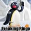 Freaking Pingo