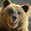 The Grizz