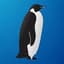 TipsyPenguin