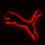 Puma<(S)kills
