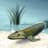 Return to Tiktaalik